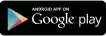 Google Play Store